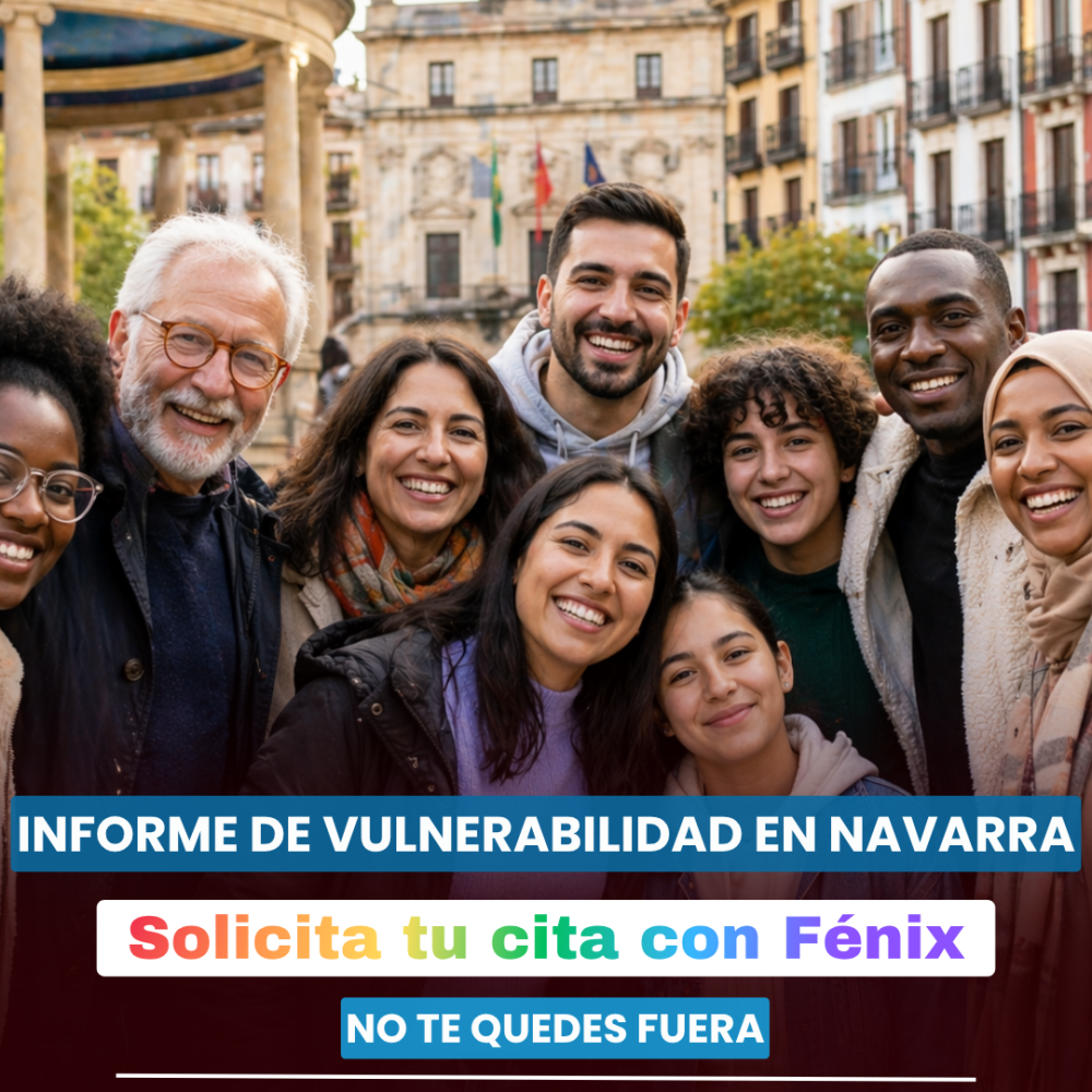 informe-vulnerabilidad-navarra-fenix-asociacion